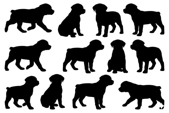Silhouette collection of dogs in various poses and angles.