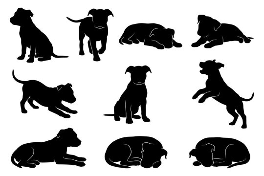 Collection of silhouetted dogs in various poses.