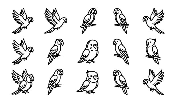 Minimal black line tropical parrot outline vector collection with exotic flying and sitting birds