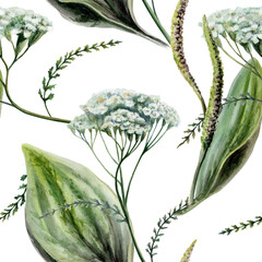 Plantain and yarrow mix seamless pattern watercolor illustration. Botanical herbs blend for organic wound healing pharmacy branding, antiinflammatory remedy packaging, medical skincare wellness print © AnKa
