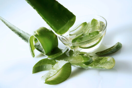 Gel from Aloe leaf