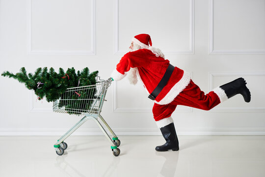 Santa Claus transporting Christmas tree in a shopping cart
