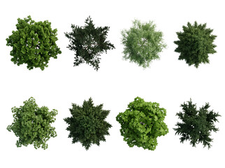 Obraz premium Aerial view of green forest trees for architectural site planning and landscape design set.