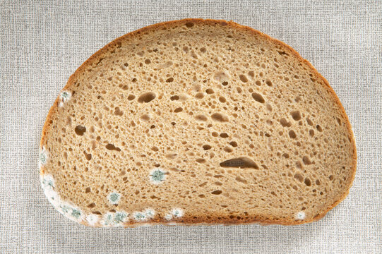 Moulded bread, elevated view