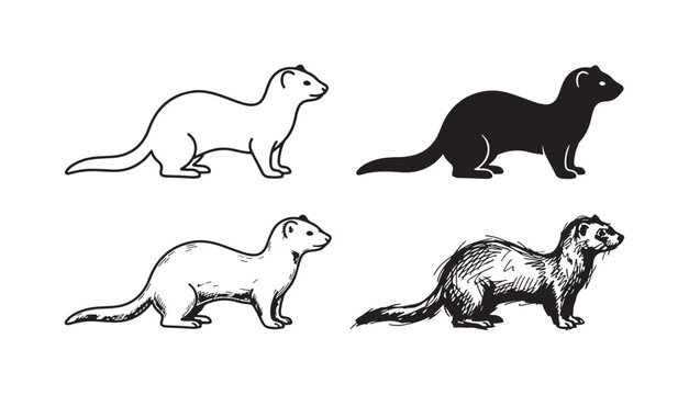 Ferret or weasel animal in a standing pose, depicted in four varying artistic styles: line, solid, and two sketch types