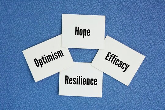 What are the 4 pillars of mindset? Hope, Efficacy, Resilience, and Optimism word. these elements form the mental and emotional resources required to overcome challenges, achieve personal goals