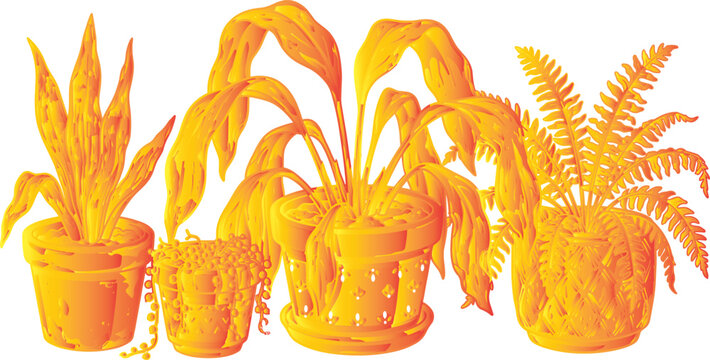 Cute dying and wilted potted houseplants orange gradient vector icon collection.