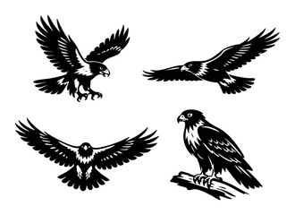 Obraz premium Birds of prey in various dynamic poses: soaring, landing, spreading wings, and resting on a branch, in a vector flat design style