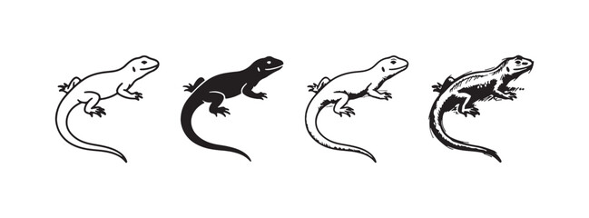 Fototapeta premium Four lizard illustrations in a row, each showing a side profile with an elongated tail, rendered in styles ranging from simple line art to intricate textured shading.
