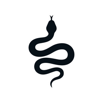 Black snake silhouette standing tall.