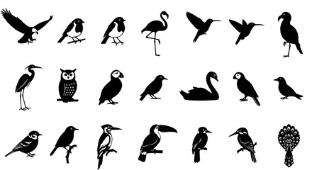 set of silhouettes of birds © joy