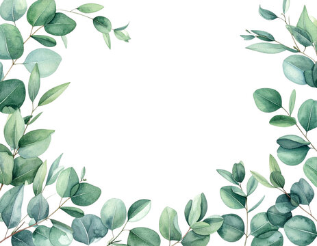 Watercolor eucalyptus greenery border at bottom corners on transparent background