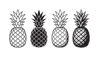 Obraz premium Four distinct pineapple fruit illustrations in line art, solid black silhouette, and two detailed hand-drawn sketch styles.