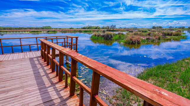 Tablas de Daimiel National Park, Daimiel, Ciudad Real, Castilla La Mancha, Spain, Europe