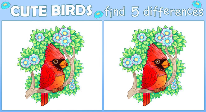 cute bird red cardinal, find five differences illustration