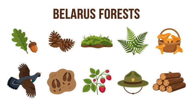 Belarus Forests Nature Elements Collection Vector Illustration.