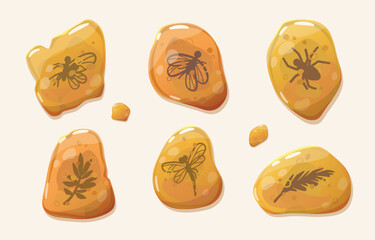 Amber fossils containing insects and plants. Prehistoric animals preserved in amber. Geological samples of ancient resin © Ксения Хомякова