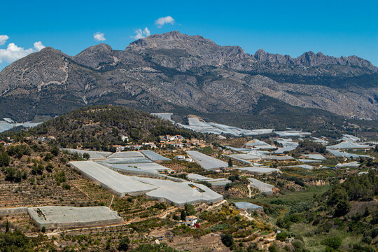 Scenic view from Polop showing rural valley with medlar plantations under white nets and mountains in the background