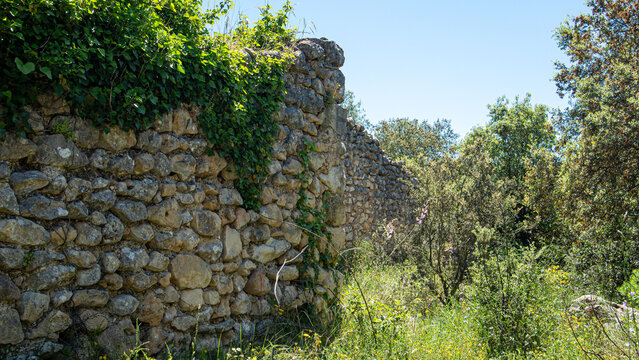 Overgrown ivy and wild vegetation cover the stone ruins of the Moorish village of Atzuvieta in natural sunlight