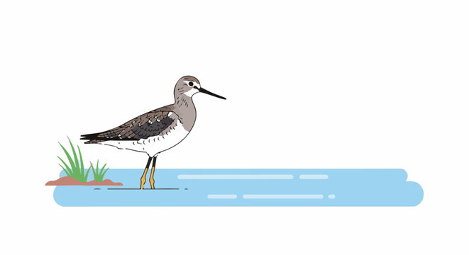Minimalist illustration of a sandpiper standing in shallow water near grass