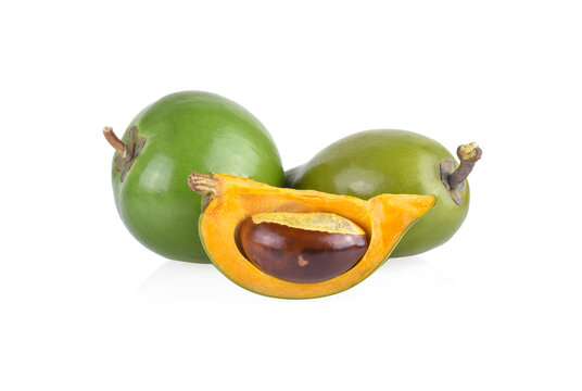 Egg fruit, Canistel, Yellow Sapote (Pouteria campechiana (Kunth) Baehni) isolated on white background
