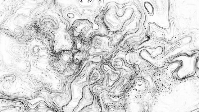 Monochrome Topographic Wave Line Art Draping
&bull;	Description: Abstract black and white background with fine liquid contour lines. Beautiful topographical sketch texture and marble patterns create an ele