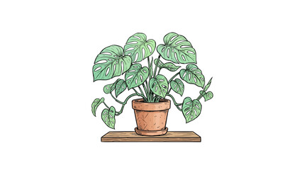 An illustration of a potted Philodendron plant on a wooden shelf against a white background. © Dhiyak
