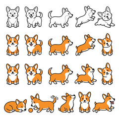 Fototapeta premium Corgi dogs in various poses.