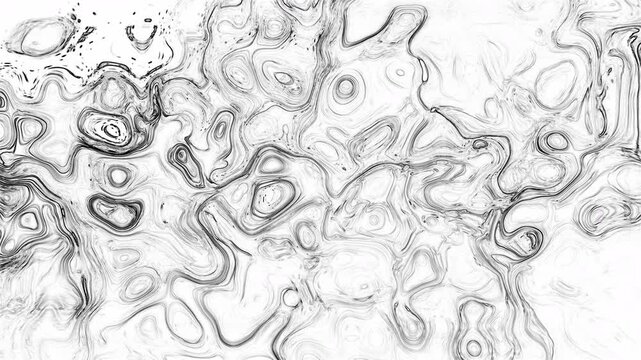 Monochrome Topographic Wave Line Art Draping
&bull;	Description: Abstract black and white background with fine liquid contour lines. Beautiful topographical sketch texture and marble patterns create an ele