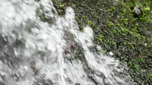 Clear fresh water cascades rapidly down a steep dark rock covered with green moss sprouts.