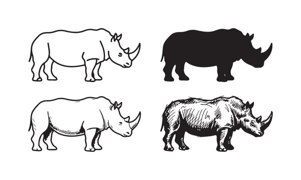 Four rhinoceros icons in various artistic styles: outline, silhouette, line art, and detailed sketch, isolated on white.