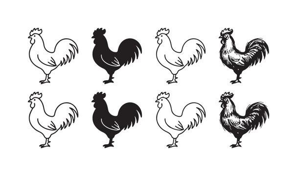 Eight rooster icons in various artistic styles: outline, silhouette, line art, and detailed sketch, presented in two rows on white.