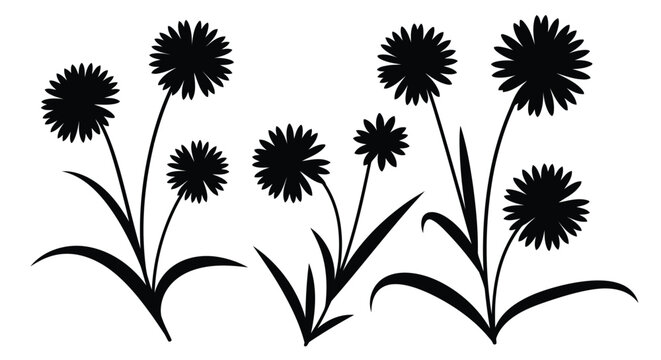 Black dandelion flowers icon set