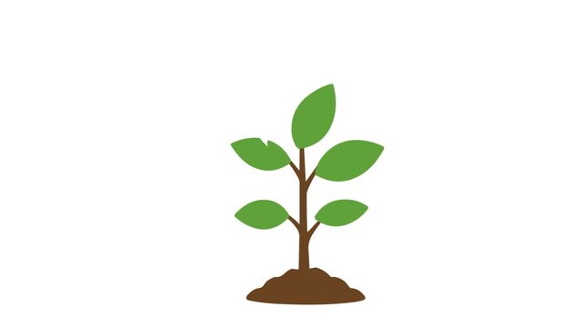 leaf growing up to life flat design motion video suitable to your brand, display, go green, earth, bio, science, advertise, marketing, forest, jungle, and more