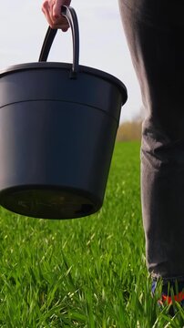 Female farmer picks up bucket and walks through green field. Rural agricultural work in countryside landscape. Vertical farming scene showing authentic lifestyle and seasonal activity. Woman farmer
