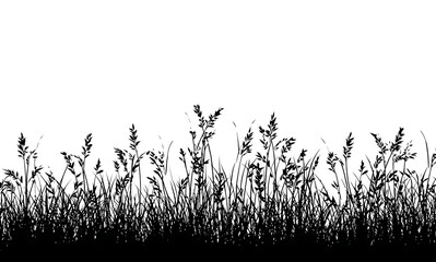 Obraz premium Decorative grass outline with clean line vector design
