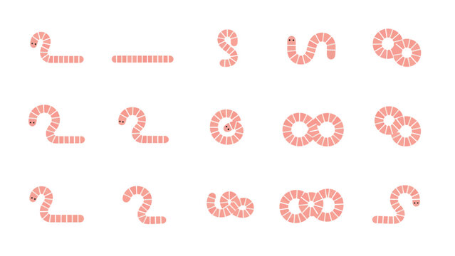 Geometric pink segmented worm shape design element reference sheet for illustration