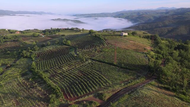 Aerial video showcasing terraced agricultural fields, countryside forests, and village homes above a misty valley in Northern Albania's Mirdita Region.
