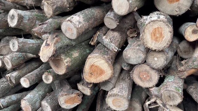 Horizontal view of stacked wooden timber logs background