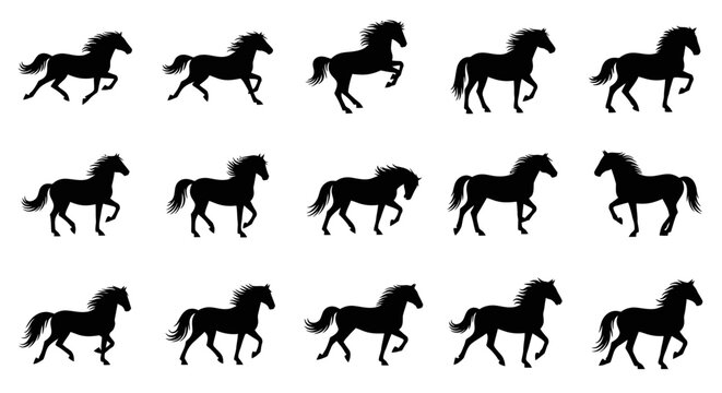 Silhouette of horses galloping in motion, illustrating the beauty and power of these magnificent animals in a dynamic sequence