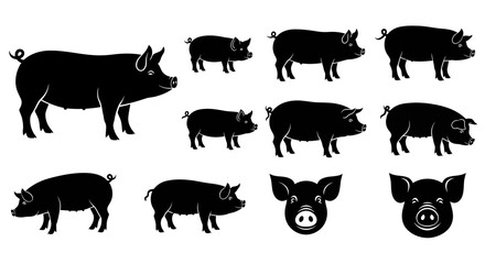 Obraz premium Collection of silhouette illustrations of various pigs and a pig's head, presented in black and white on a plain background, ideal for farming or agricultural themes
