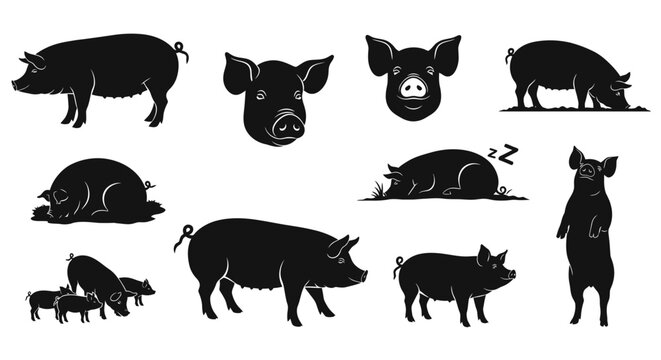 Collection of diverse black silhouette pig illustrations, showcasing various poses and activities