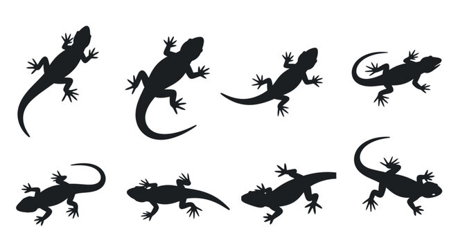 Dynamic collection of black lizard and gecko silhouettes, vector illustrations capturing the agile movements and unique forms of reptiles for wildlife-themed design projects