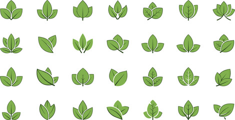Fototapeta premium Green Leaf Vector Icon Set with Diverse Botanical Shapes for Eco Friendly Branding and Sustainable Lifestyle Concepts
