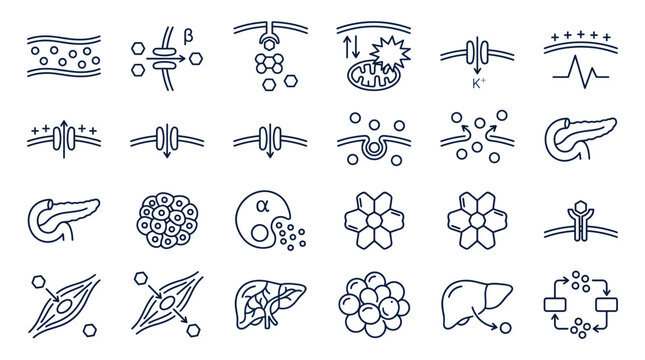 Cellular Transport and Metabolism Icons: A comprehensive collection of line-art icons illustrating cellular transport mechanisms, molecular structures.