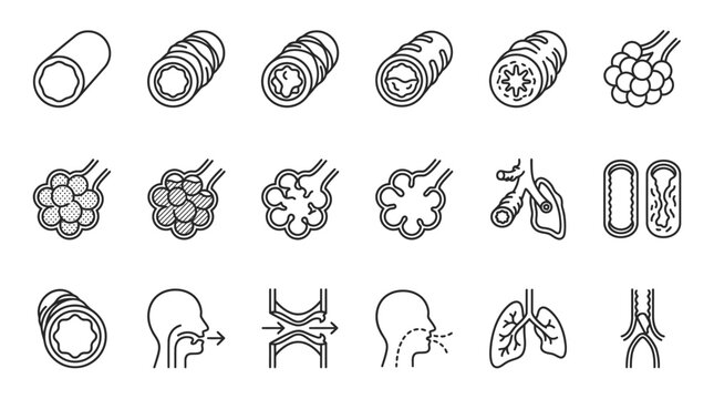 Breathing Mechanics and Alveoli: A set of icons illustrating the anatomy and function of the respiratory system, from trachea cross-sections and airflow diagrams to alveoli and lung structures.