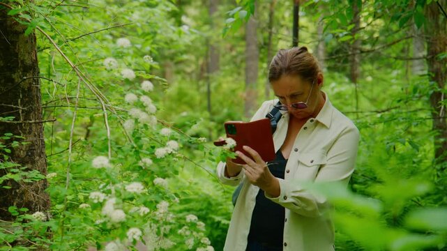 Woman walks through a lush green forest, holding a red notebook. She examines a white flower with curiosity and focus. Sunlight filters through the trees, creating a peaceful, natural atmosphere