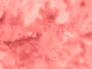 Fototapeta premium Dreamy pastel floral abstract background with soft pink tones, blurred flower shapes and delicate artistic texture. Feminine botanical design with gentle light and romantic atmosphere.
