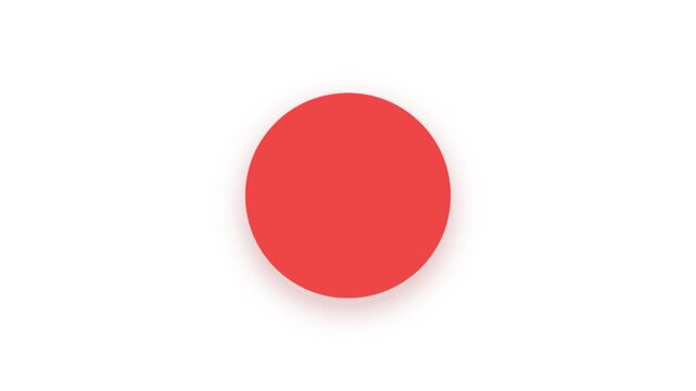 Premium transparent background error badge animation featuring a geometric morphing scalloped circle and crisp white cross mark.