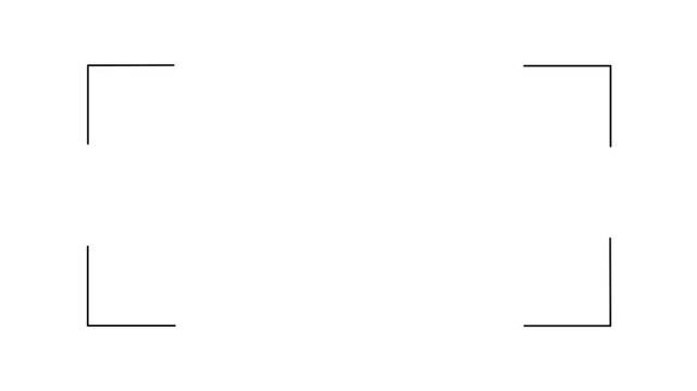 Camera viewfinder frame recording corners with scale zoom-in animation on white background.